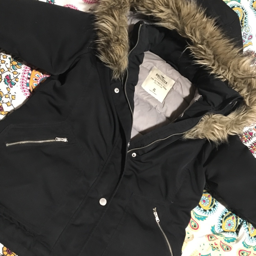 winter Hollister coat/ jacket